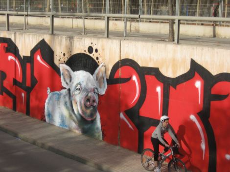 streetart-pig
